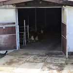 An Der Kapf Appartement *