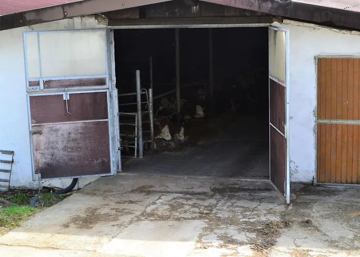 An Der Kapf Apartament Münsingen